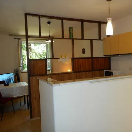 Maja 221 Apartmán Pula